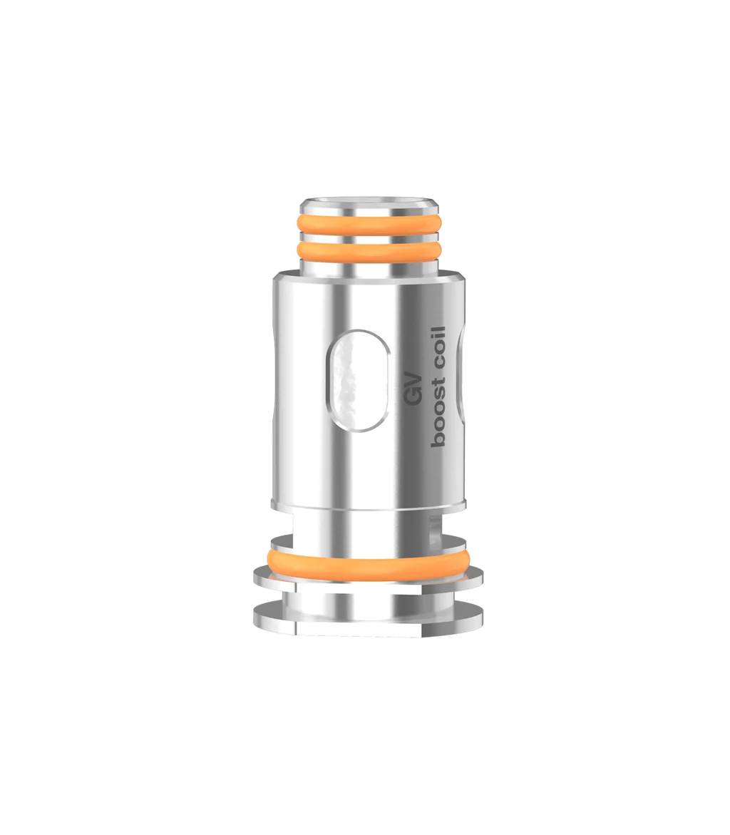 Mesh Coil B0.2 Ω by Geekvape (5 PACK)